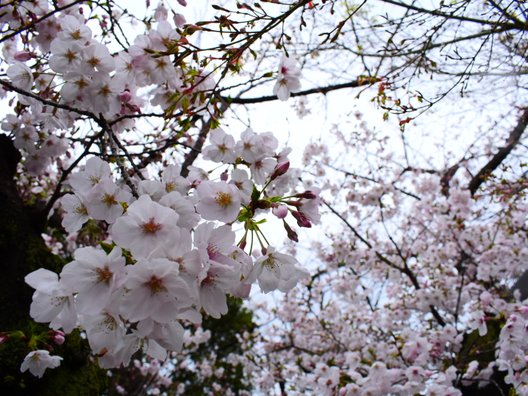 玉串川