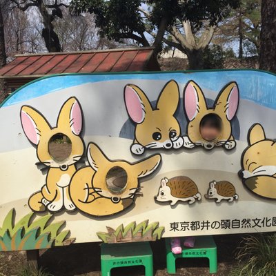 井の頭恩賜公園