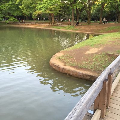 代々木公園