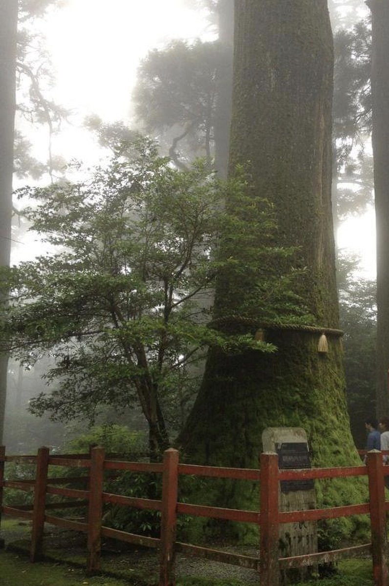 箱根神社