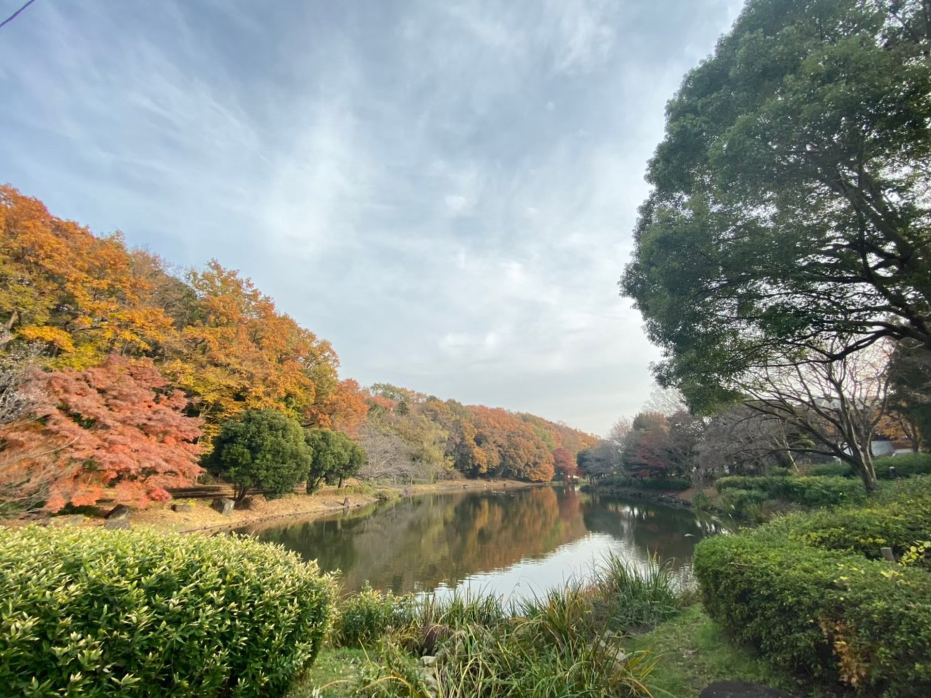 じゅん菜池緑地公園