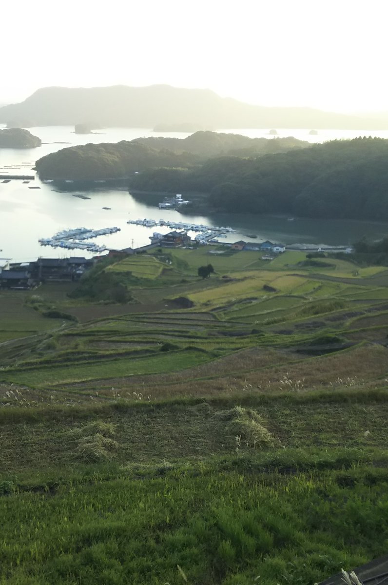 大浦の棚田