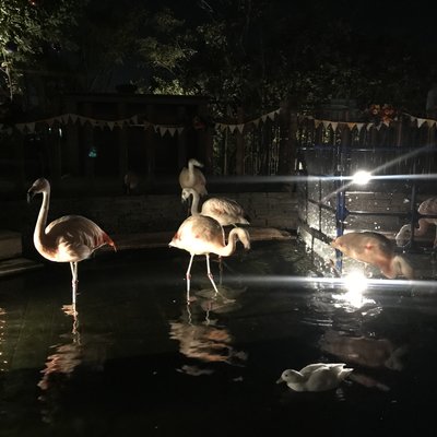 横浜 八景島シーパラダイスアクアミュージアム