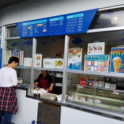 鶴岡市立加茂水族館