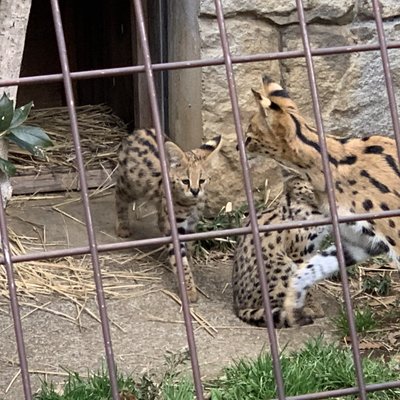 東京都多摩動物公園