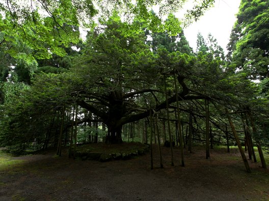 真山神社