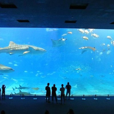 沖縄美ら海水族館