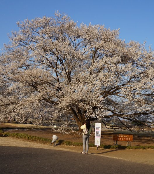 天平の丘公園