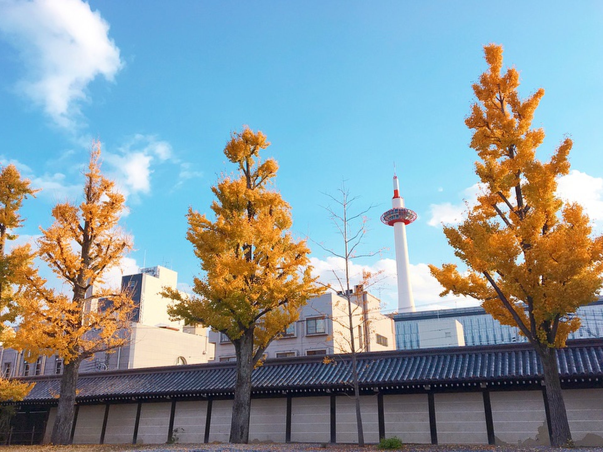 東本願寺 御影堂