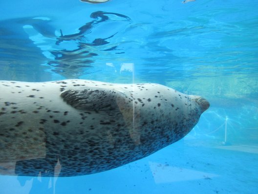 新潟市水族館マリンピア日本海