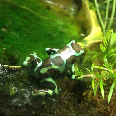 すみだ水族館