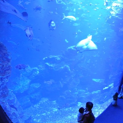 京都水族館