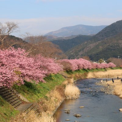 河津町観光協会