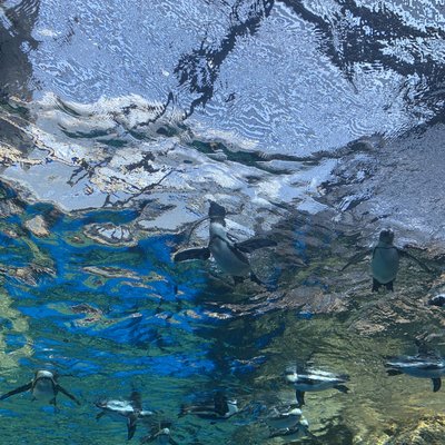 京都水族館