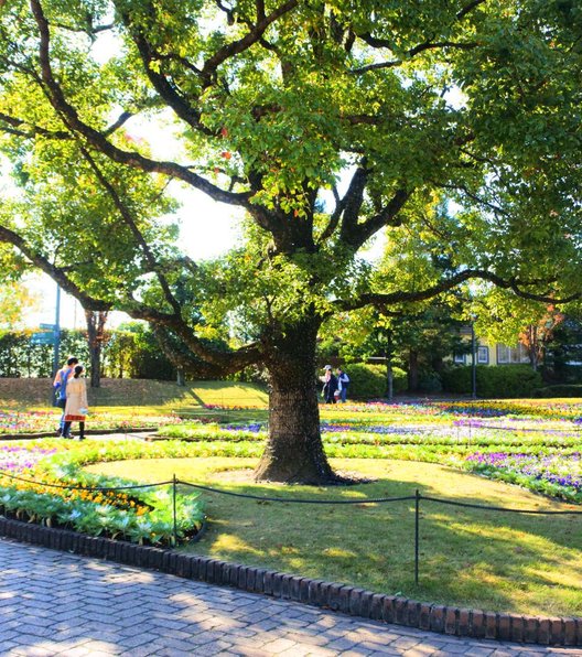 安城産業文化公園デンパーク