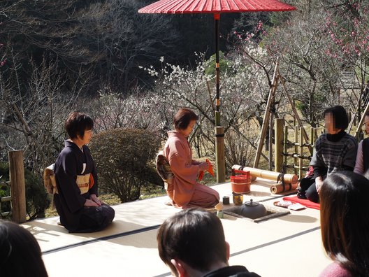 成田山公園内梅林