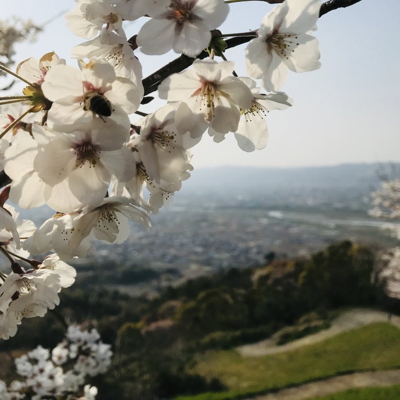 最初が峰展望所