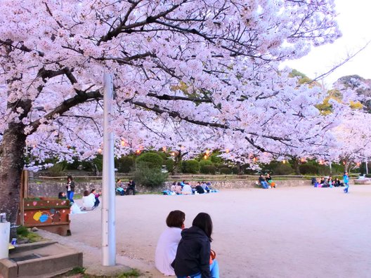 五月山公園