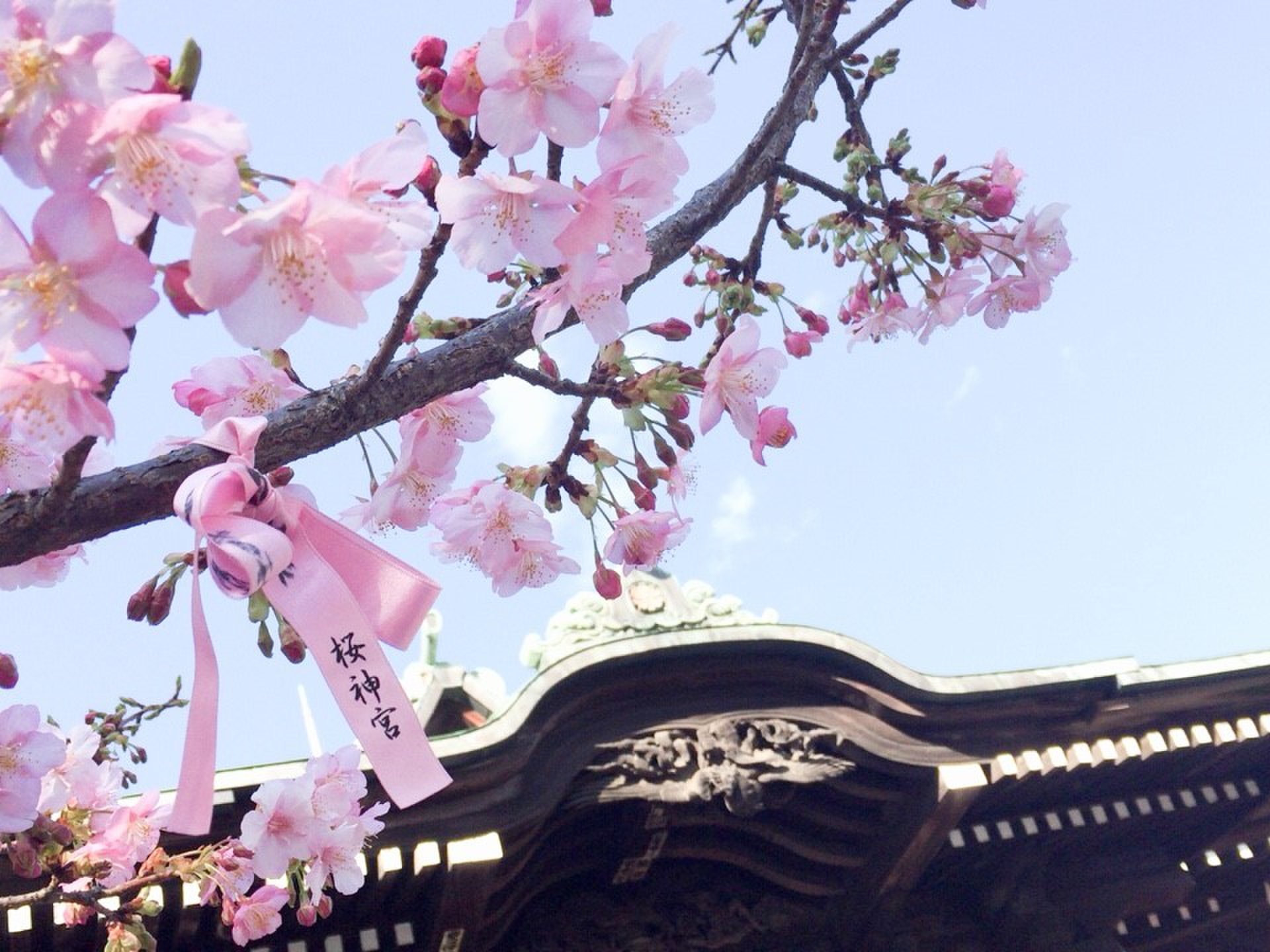 桜新町ぶらり散歩♪恋の神社とケーキ屋さん…実は女子力高め観光スポットがいっぱいだった！