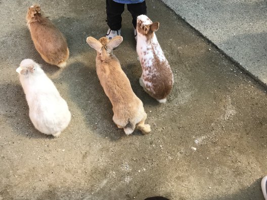 牛久大仏・ふれあい動物公園