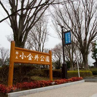 都立小金井公園