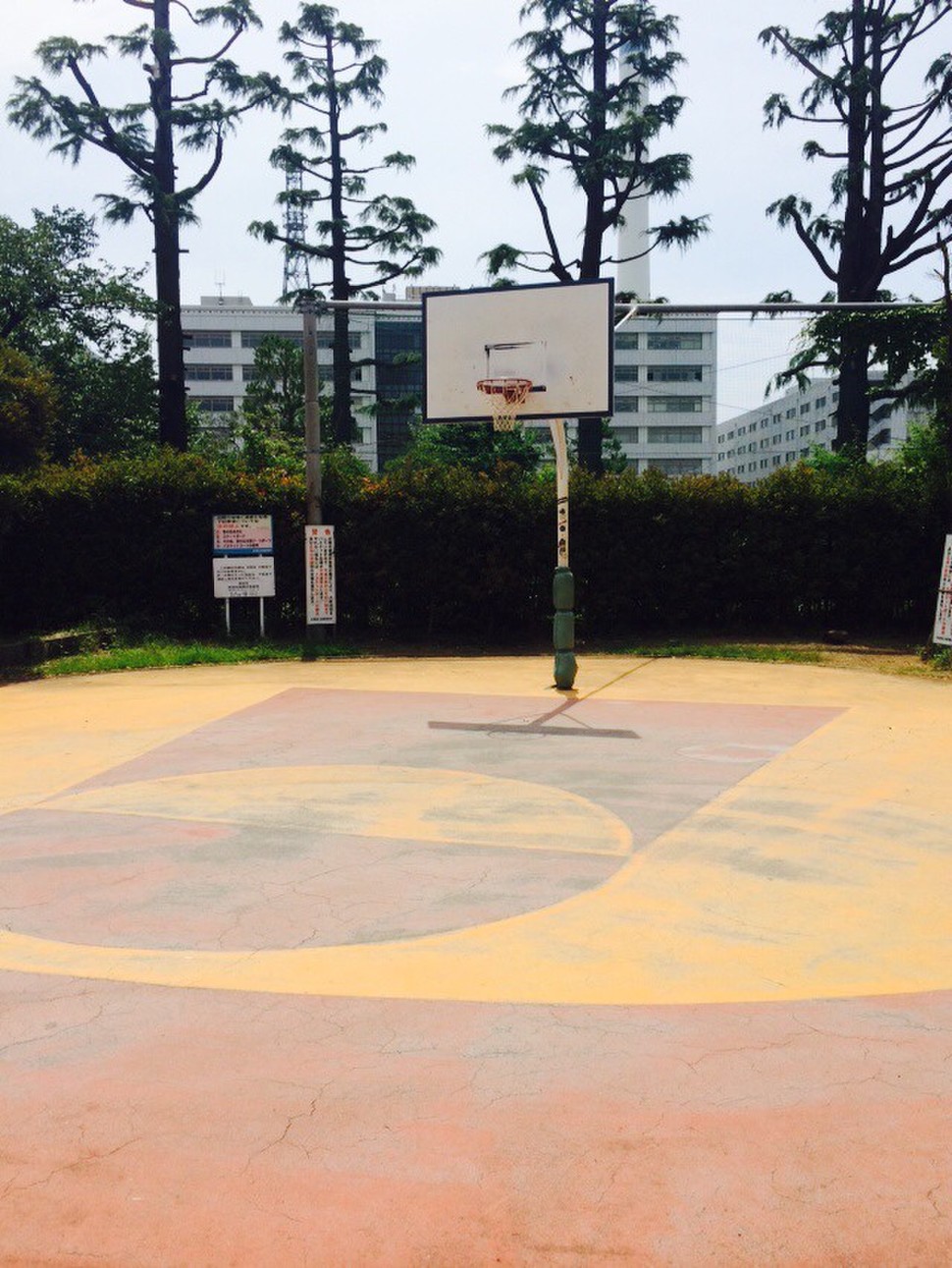 東京都内でバスケットコートがある公園まとめ 中目黒公園 ジョーダンコート 代々木公園でアウトドア Playlife プレイライフ