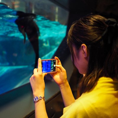 すみだ水族館