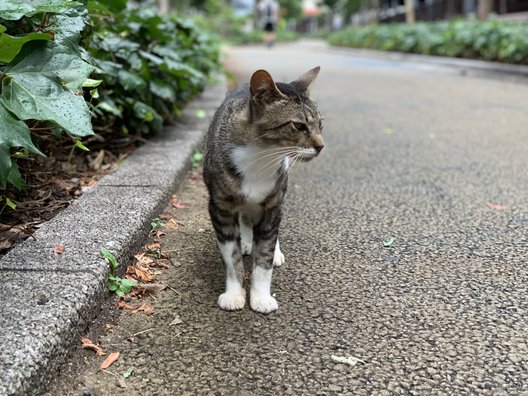 清水マリンパーク