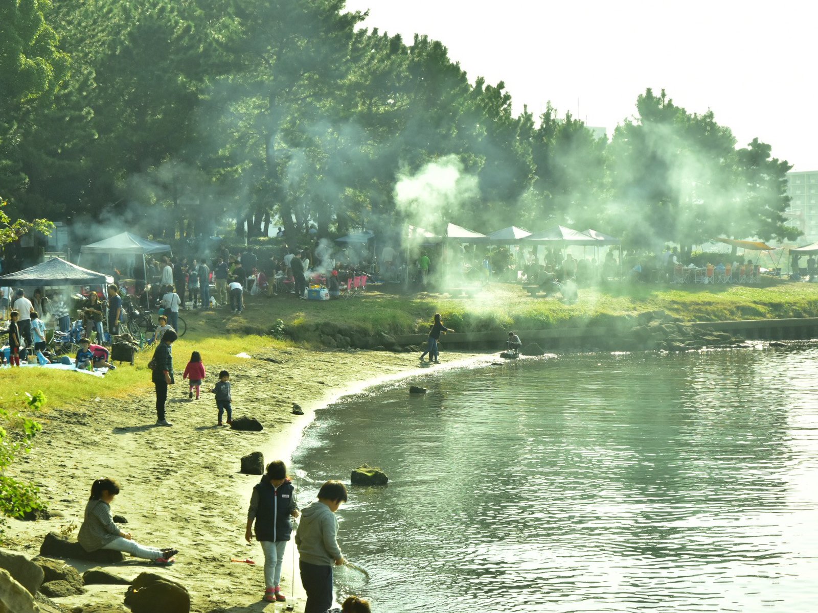 大井ふ頭中央海浜公園なぎさの森