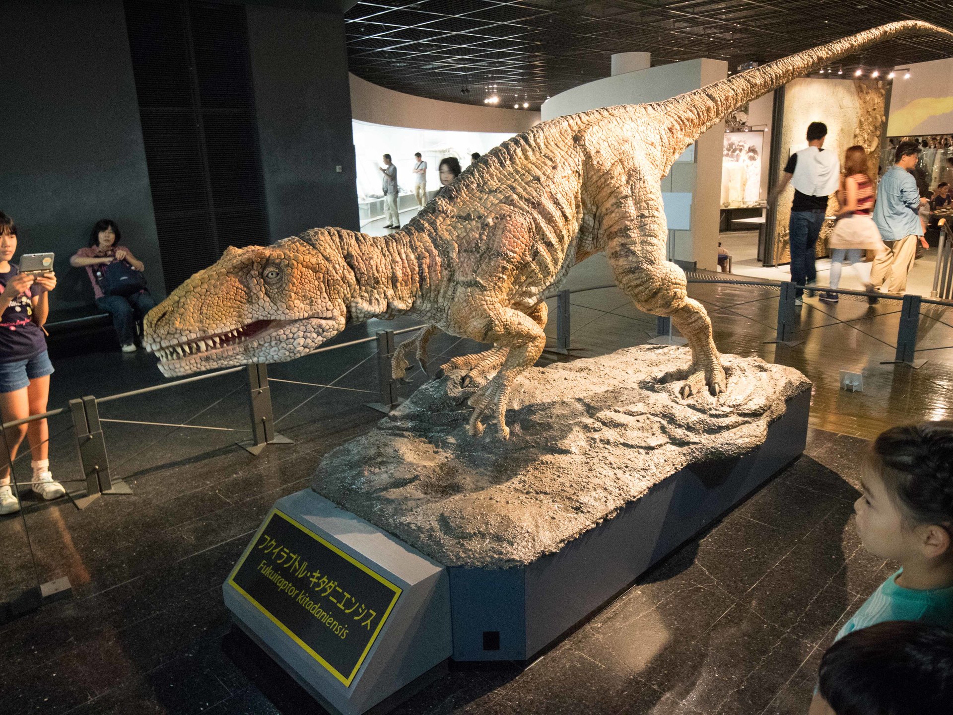 恐竜を親子で楽しめる最高のスポット！　世界に誇る福井県立恐竜博物館で遊び尽くそう！