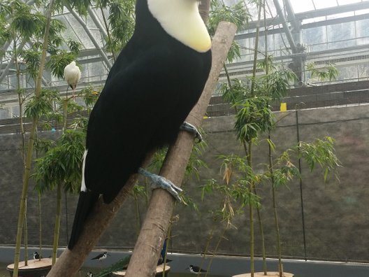 掛川花鳥園