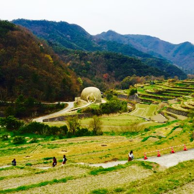 中山千枚田