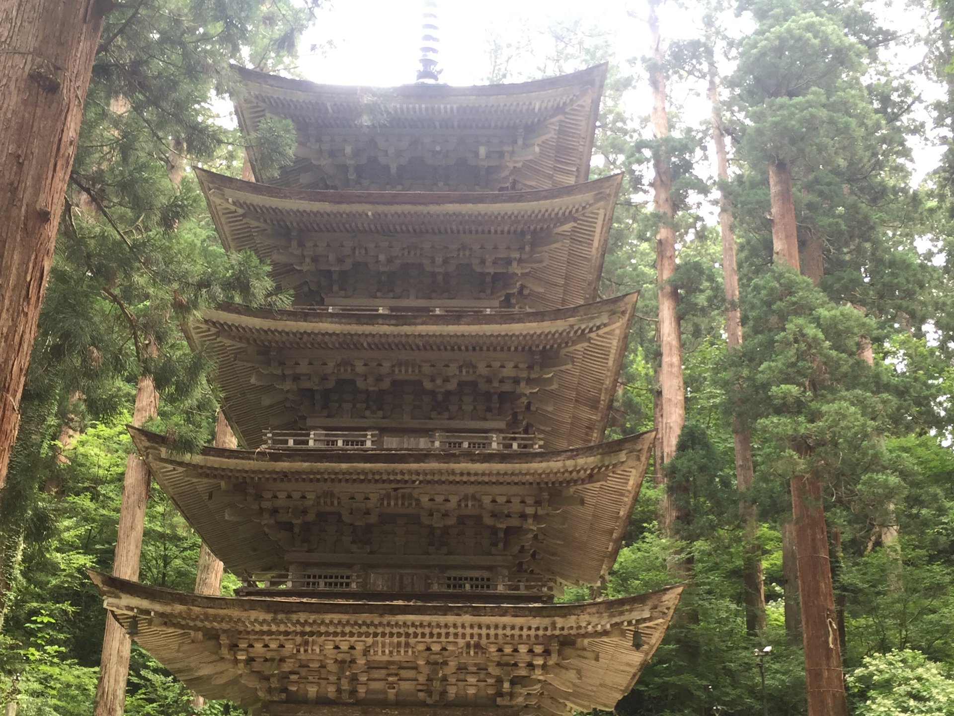 【山形県】樹齢1000年の爺杉、国宝の五重塔、パワースポット「羽黒山」へ！