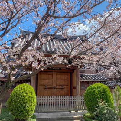 安養院