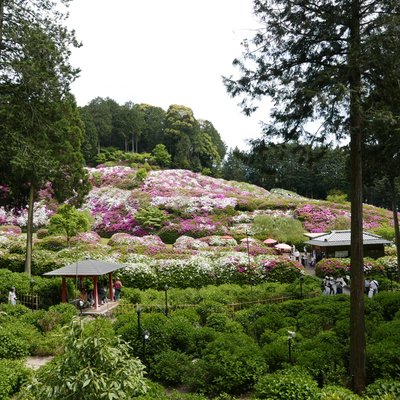 三室戸寺