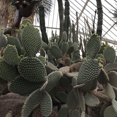 伊豆シャボテン動物公園