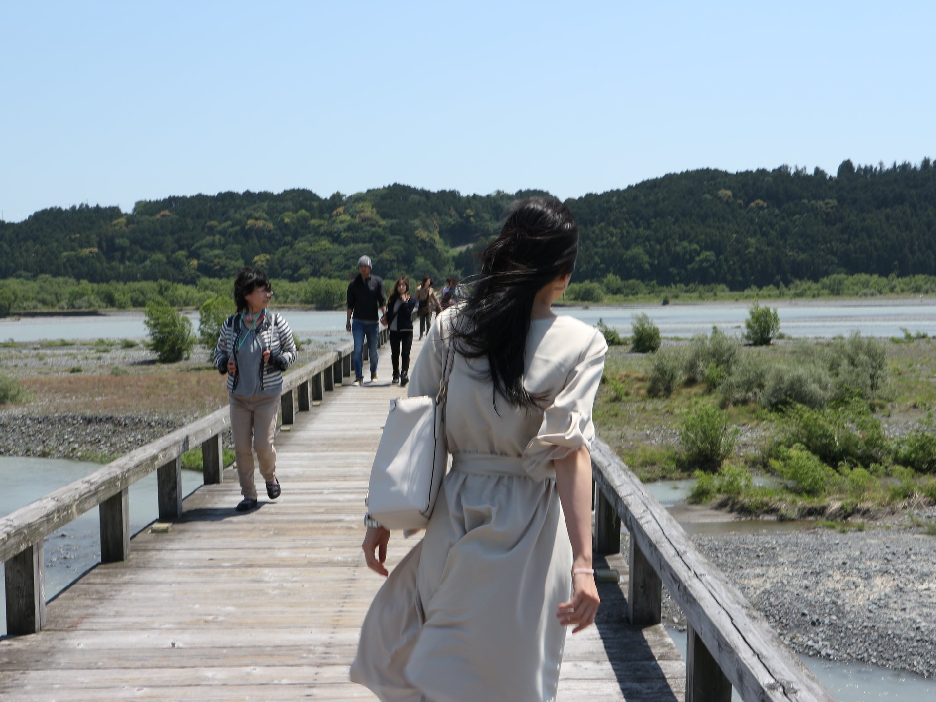 静岡の宝、海のルビー☆桜えび！ここでしか味わえない♡島田の「世界一の橋」とバラの公園♡