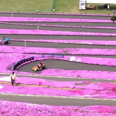 東藻琴芝桜公園キャンプ場