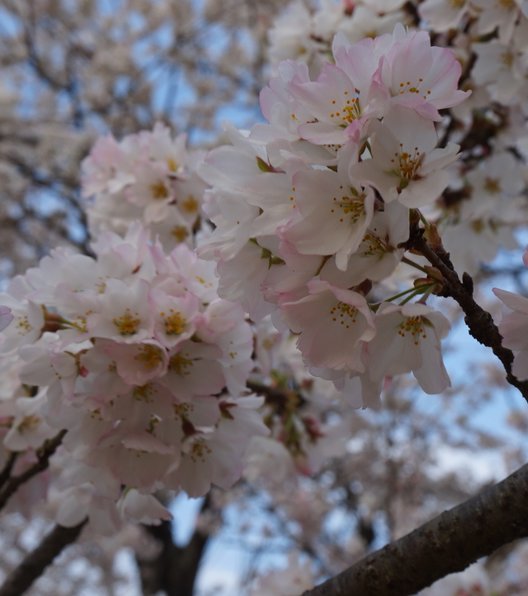 天平の丘公園