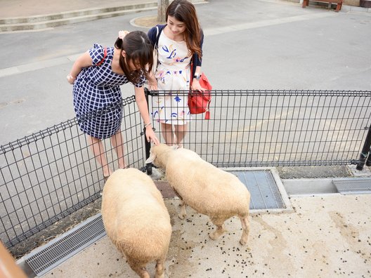 東武動物公園