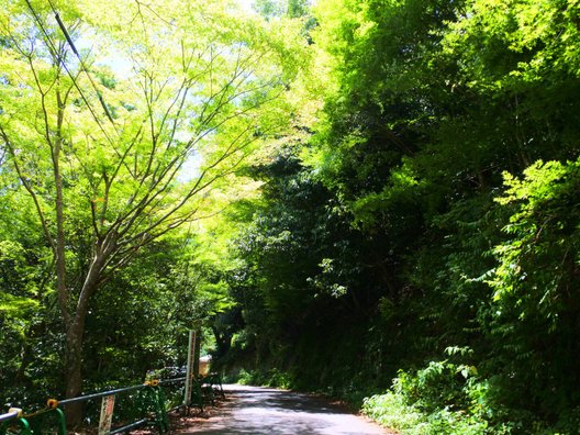 芥川山城跡