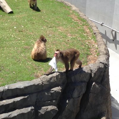 円山動物園