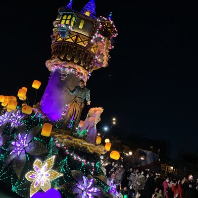 東京ディズニーランド(c)