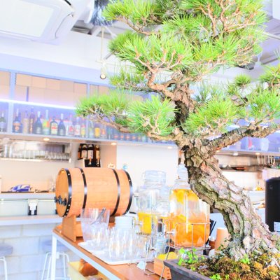 【閉店】ボン ホステルアンドカフェ （BON HOSTEL&CAFE） 