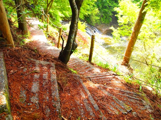 粟又の滝遊歩道