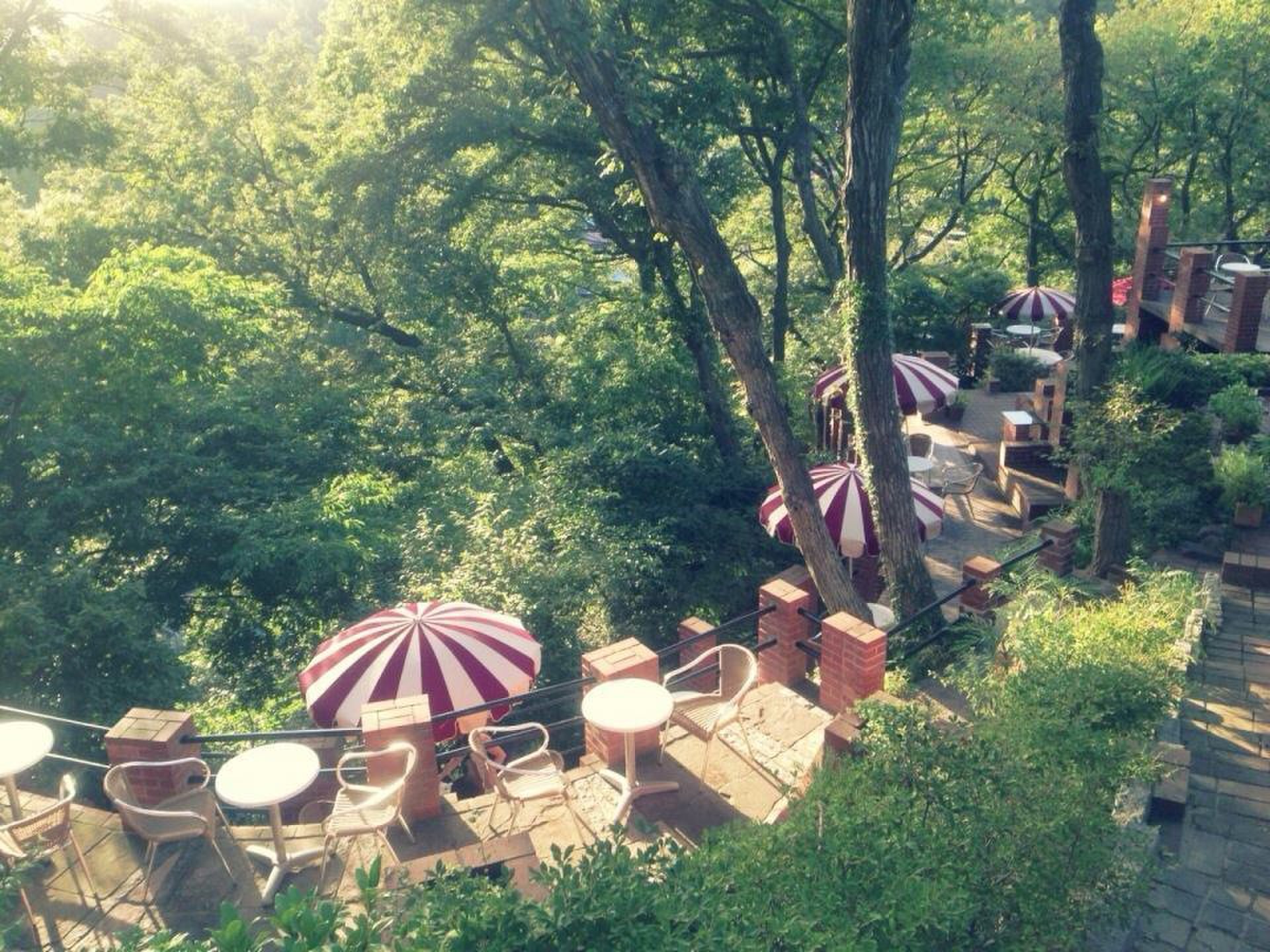 【美しすぎる天空のオープンテラス】鎌倉名所巡りからの非日常カフェ「樹ガーデン」で癒されよう