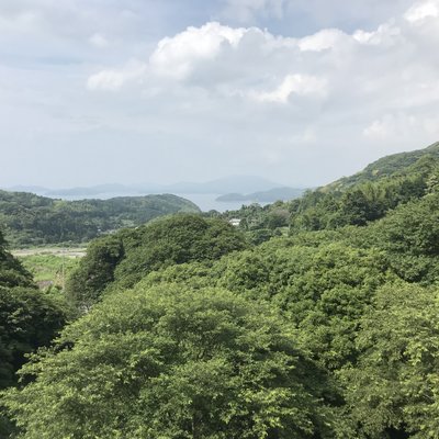 加茂ゆらりんこ橋