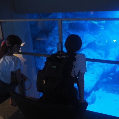 すみだ水族館