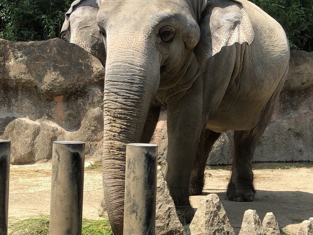 到津の森公園