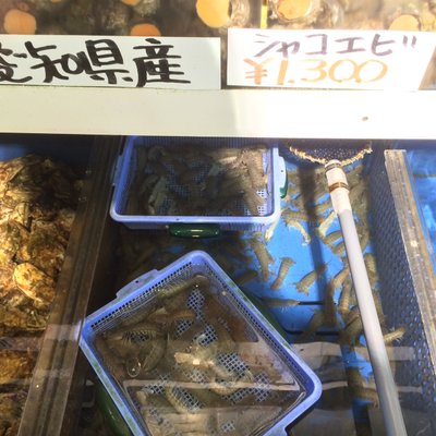 豊浜 魚ひろば